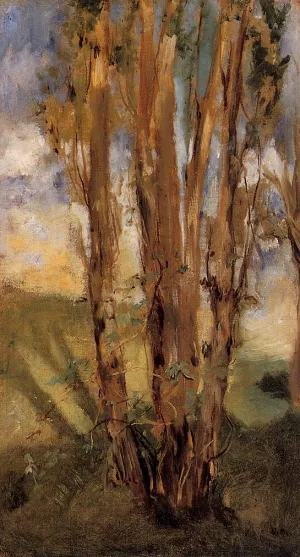 Study of Trees